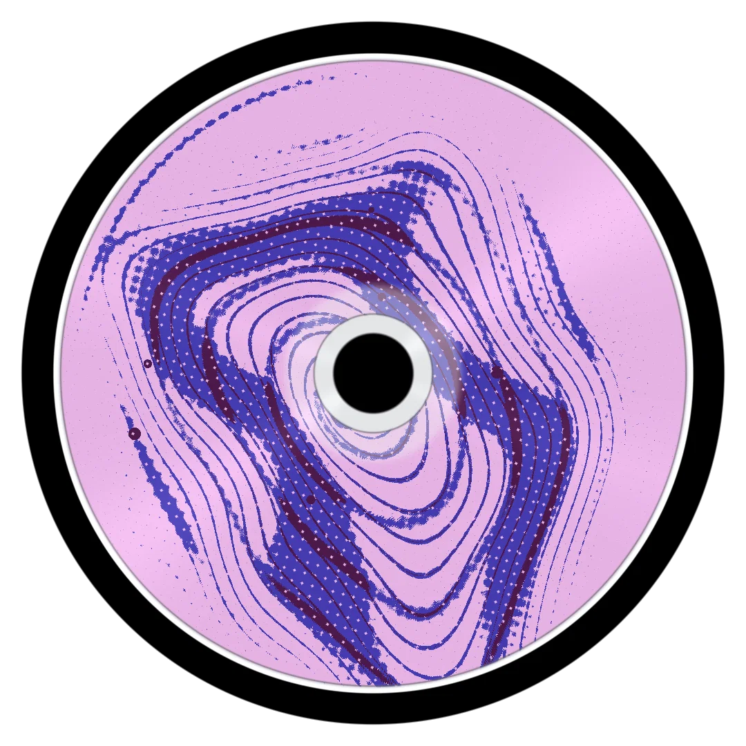 DIVA II cover