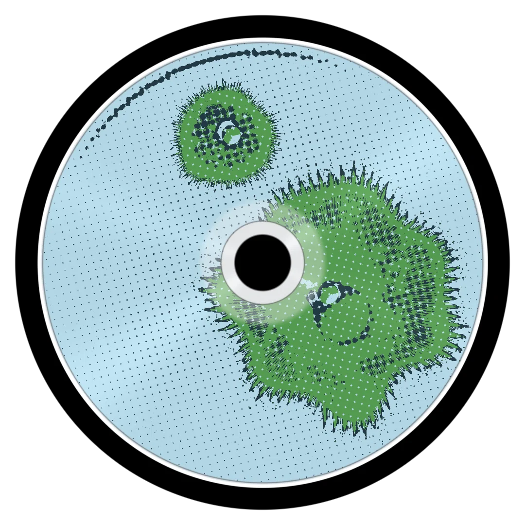 DOJO cover