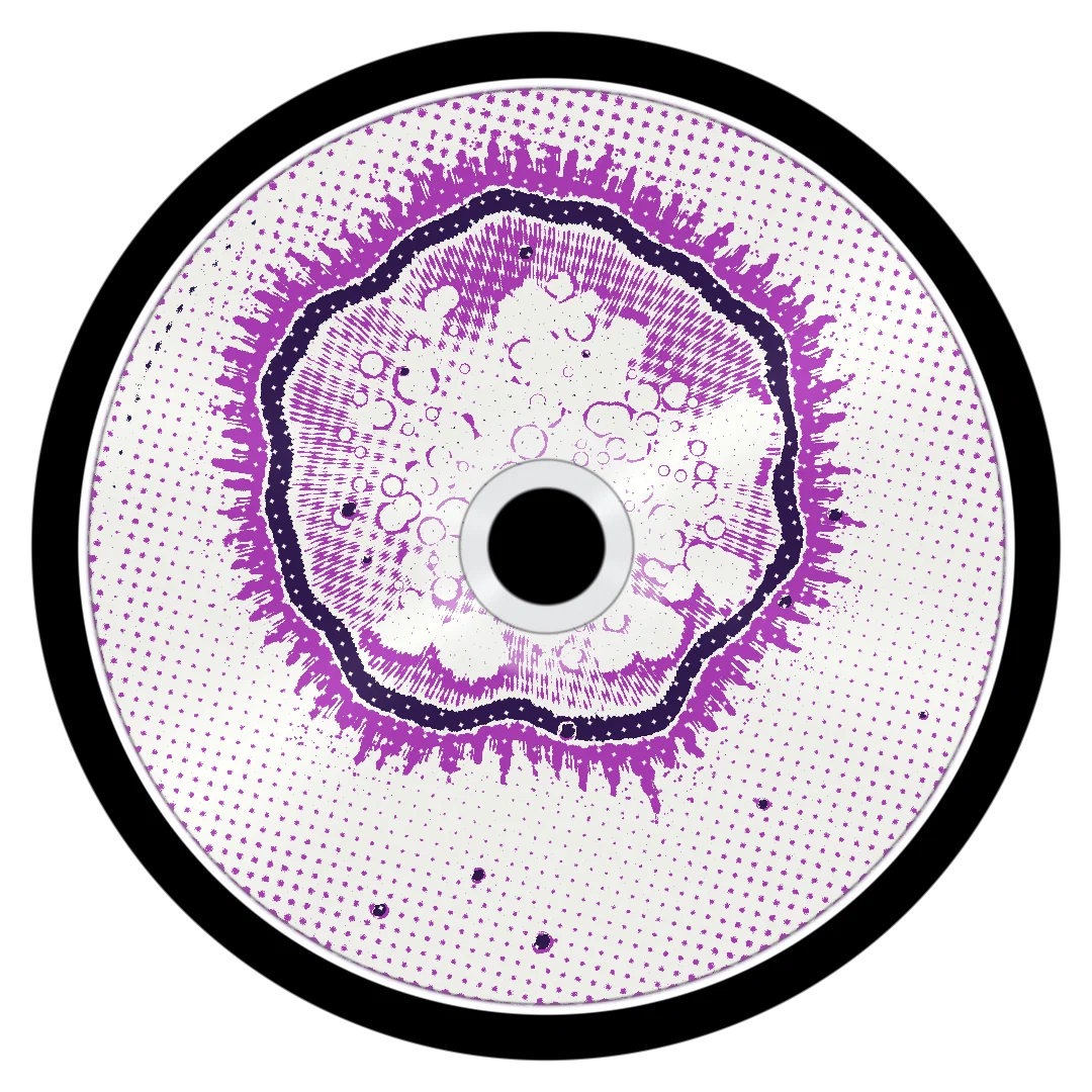 DRAINO cover
