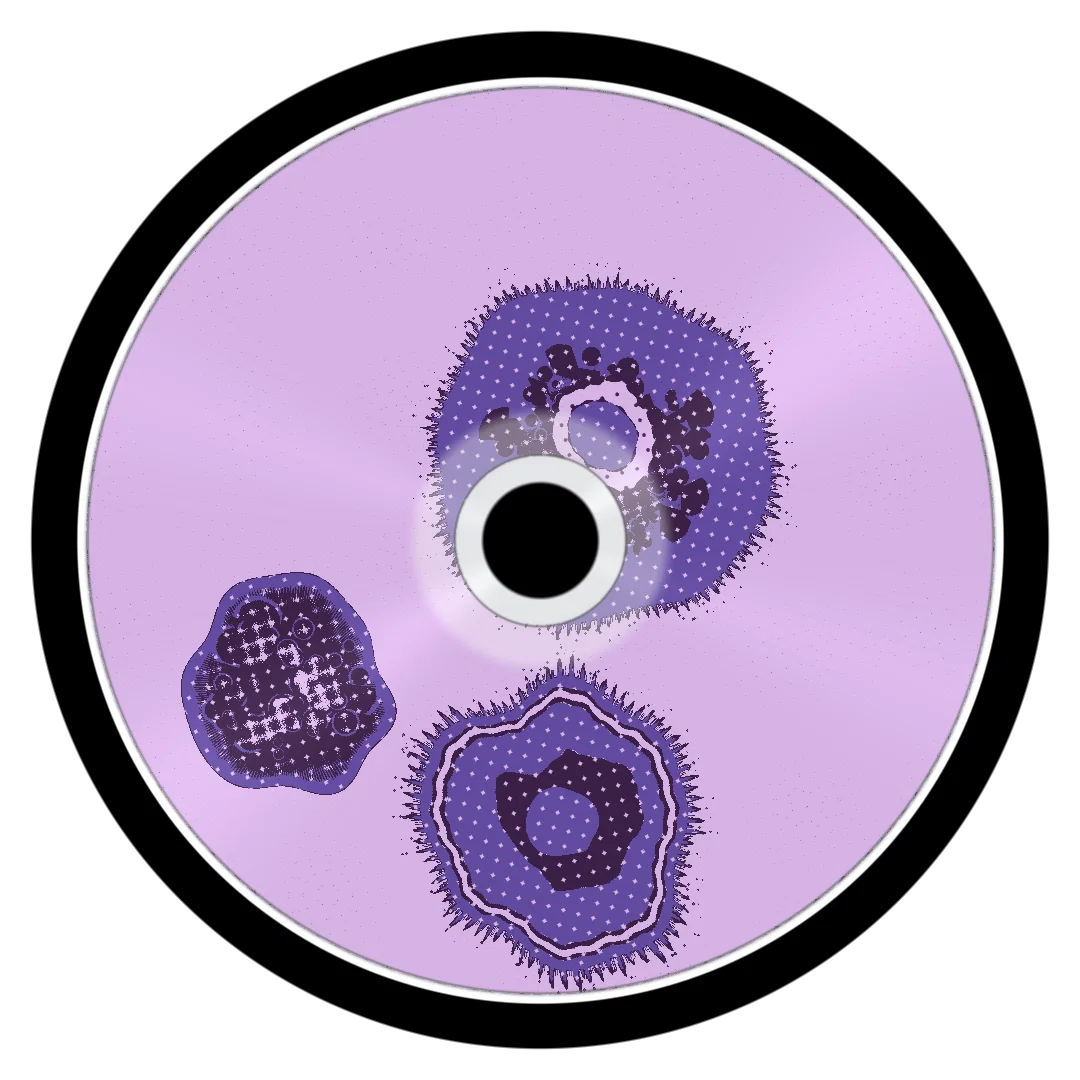 DUMBSIMPLE cover