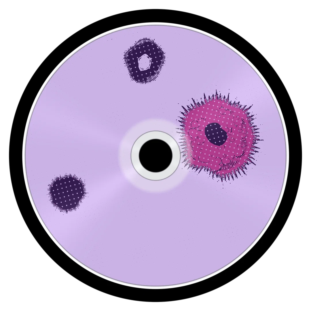 EQUINOX cover