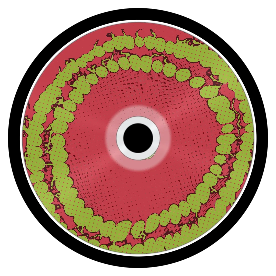 FLINT cover