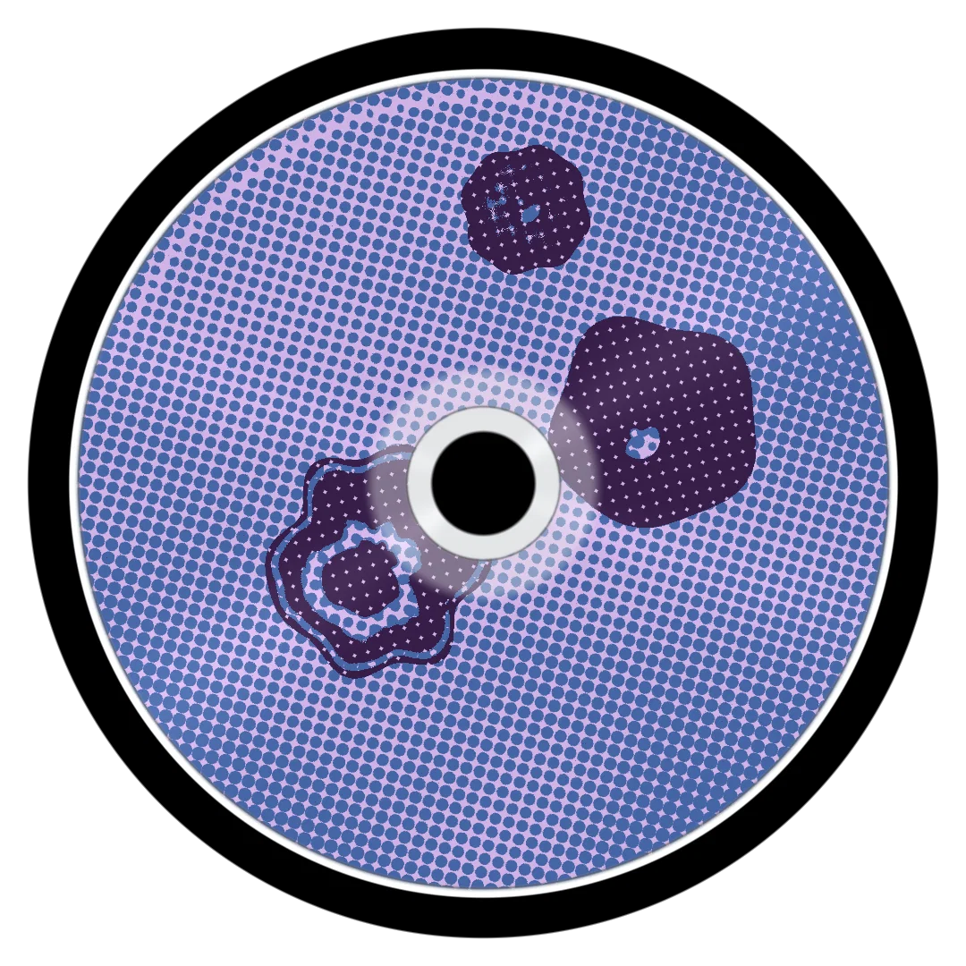 FLOPPYROCK cover