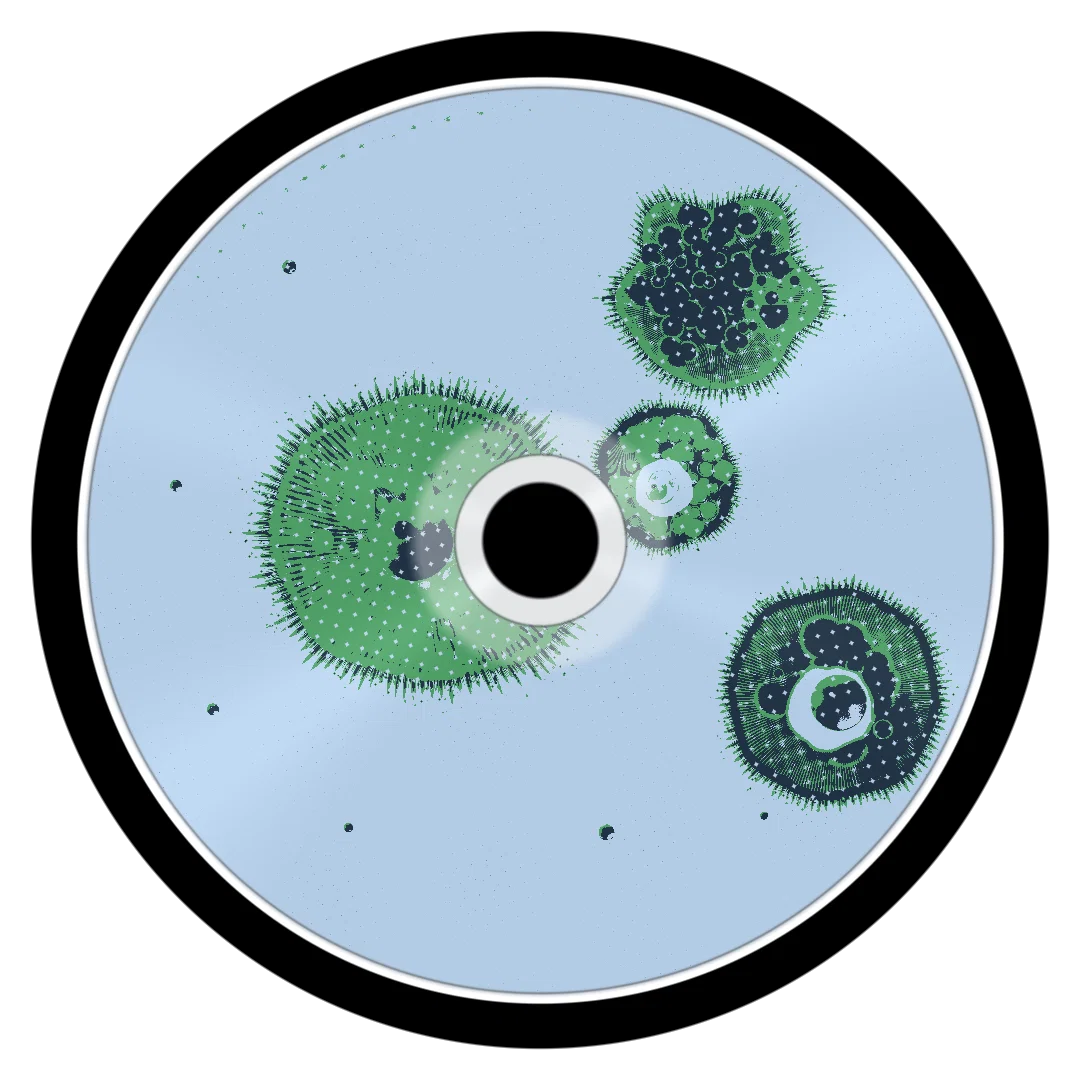 FLUORIDE cover