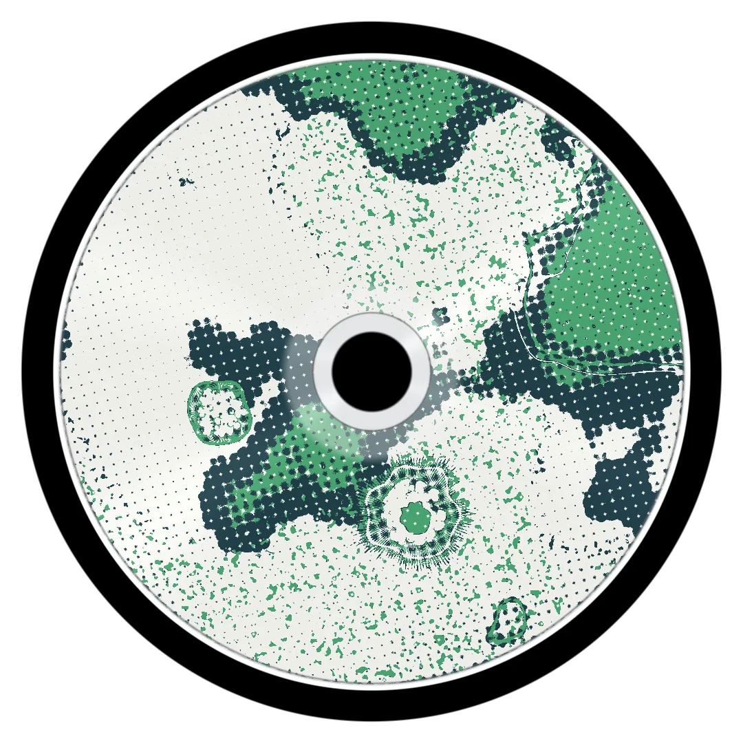 FORTIFY cover