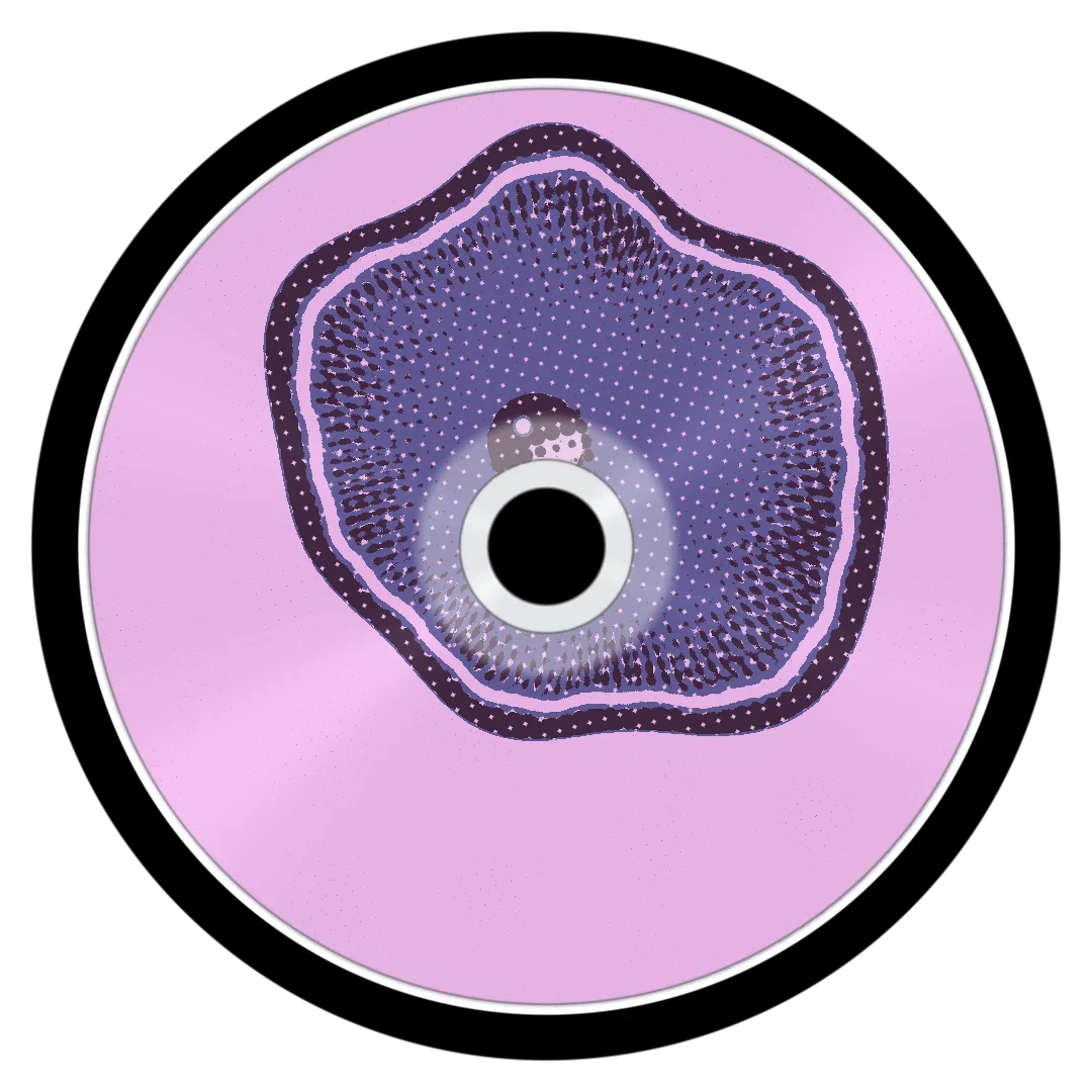 GARLIC cover
