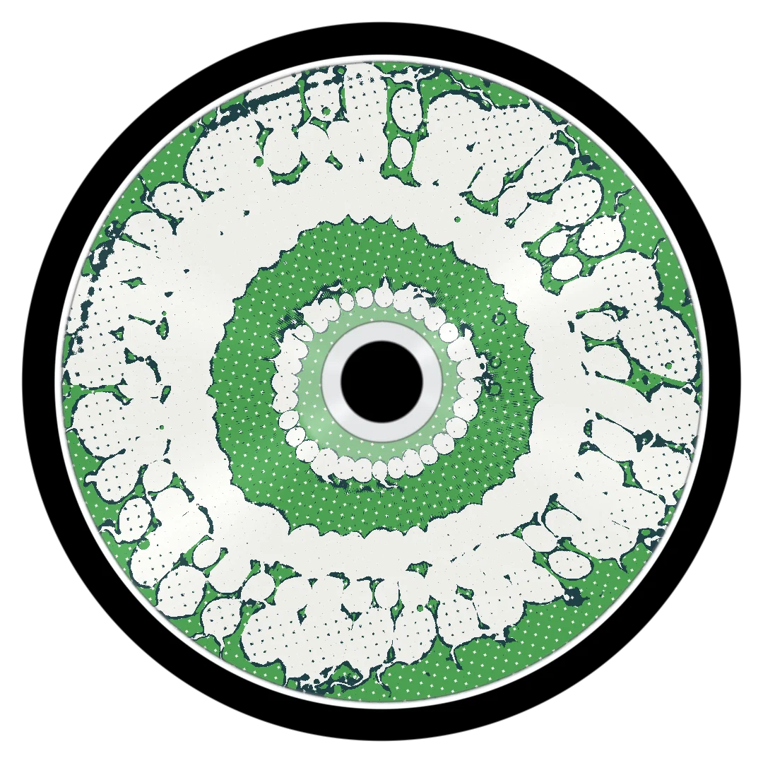 GRATEFUL cover