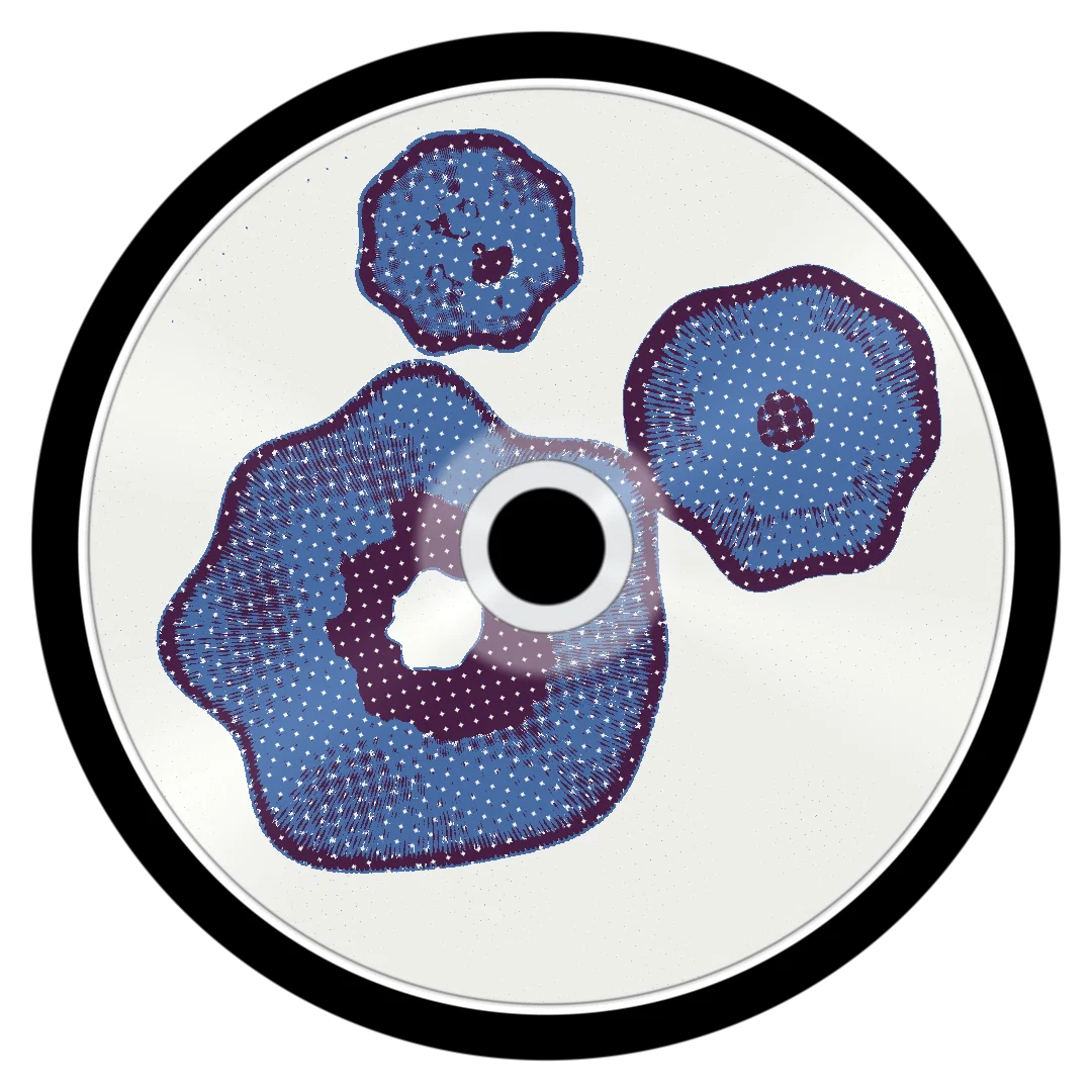GRATITUDE cover