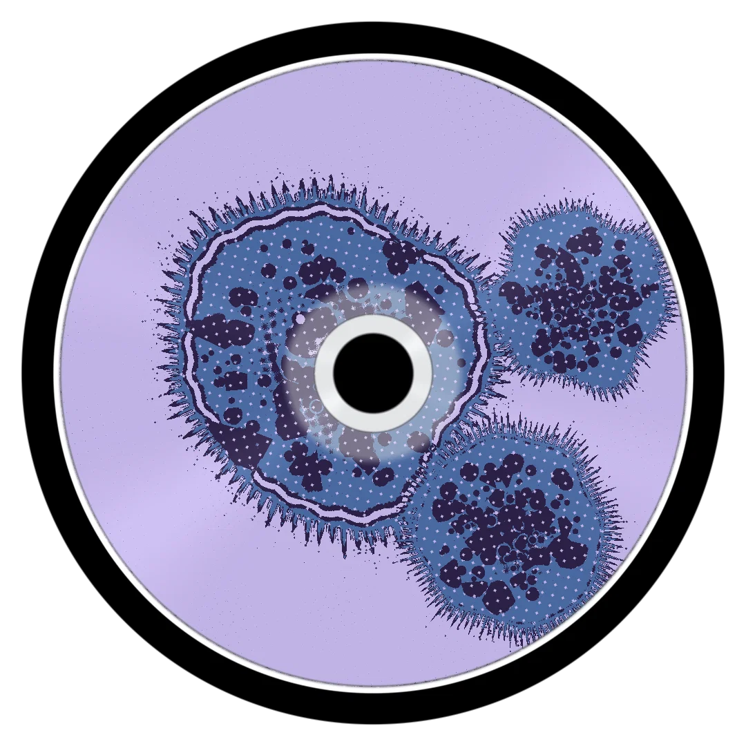 1OF1 cover