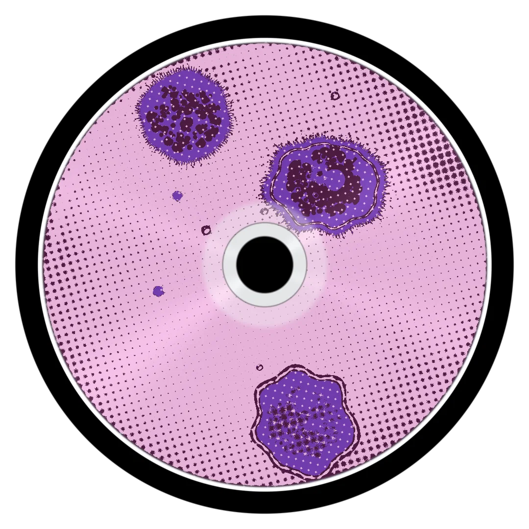 APATHY II cover