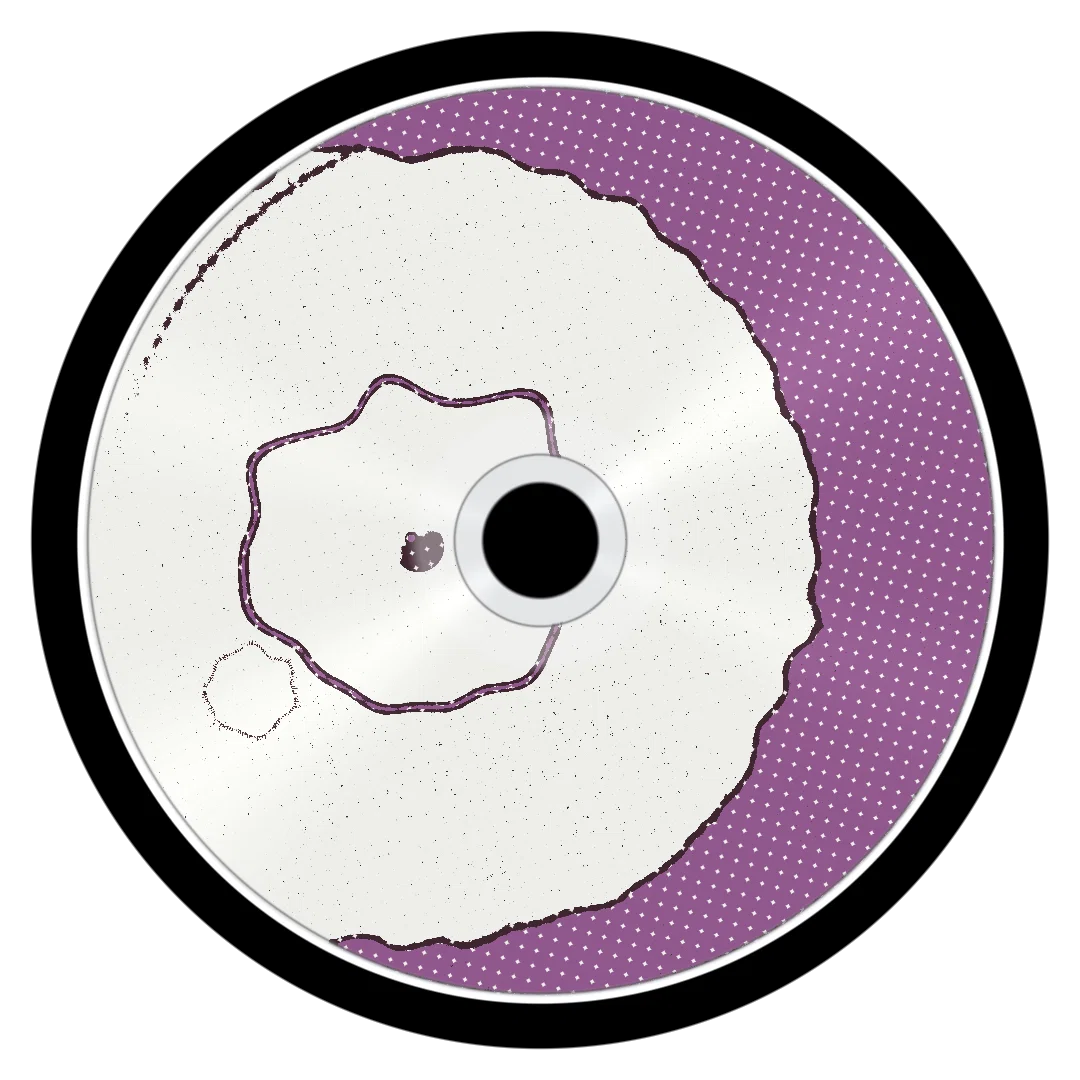 ASYLUM cover