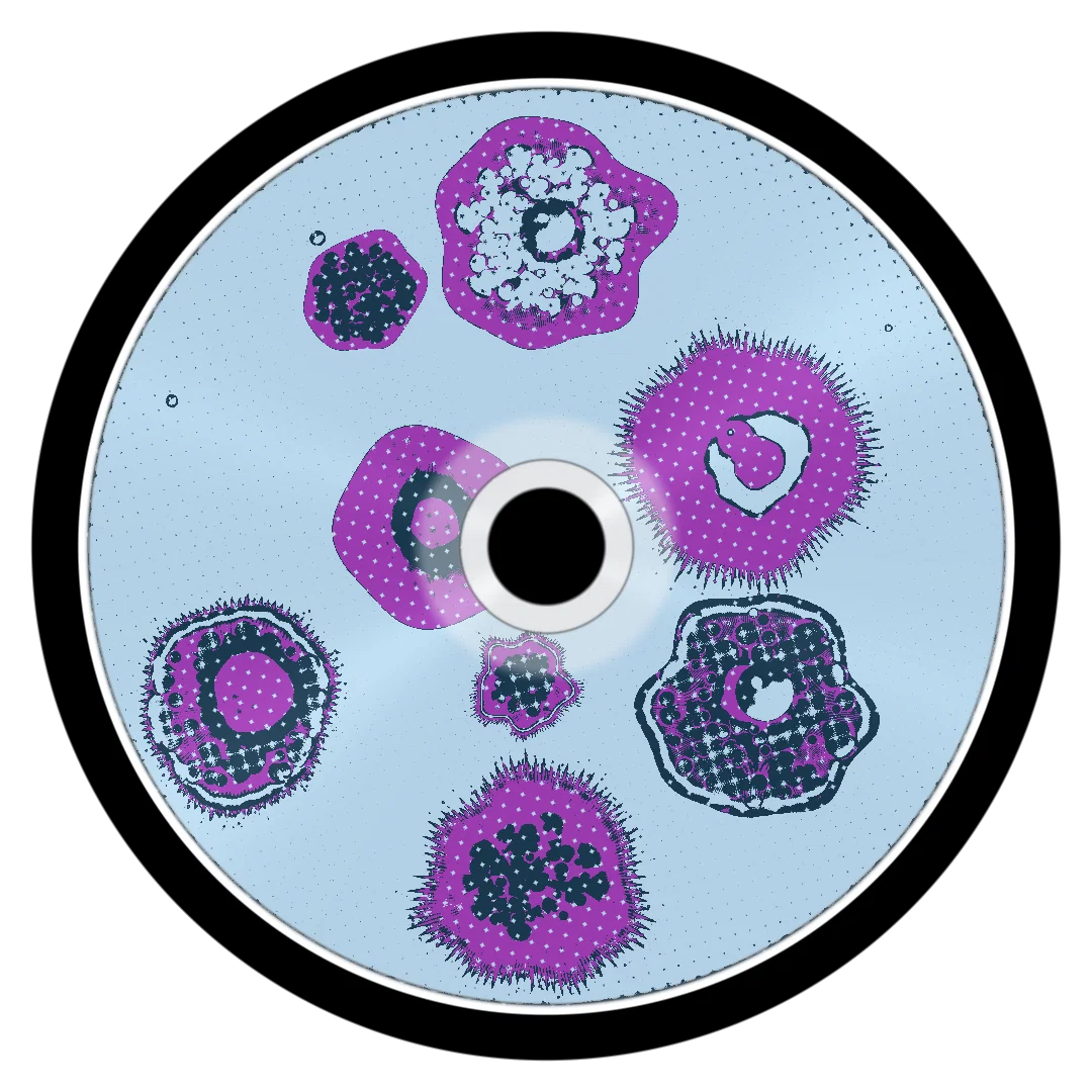 BACCARAT cover