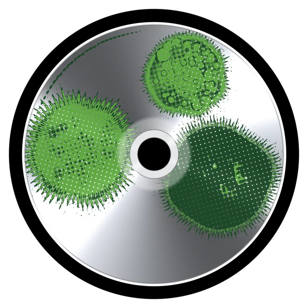 BAMBOO II cover