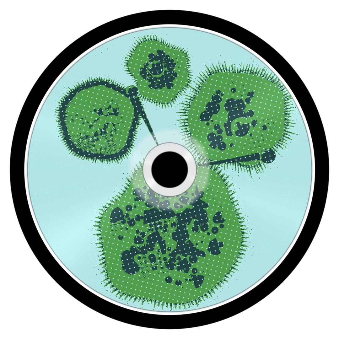 BANJO KAZOOIE cover