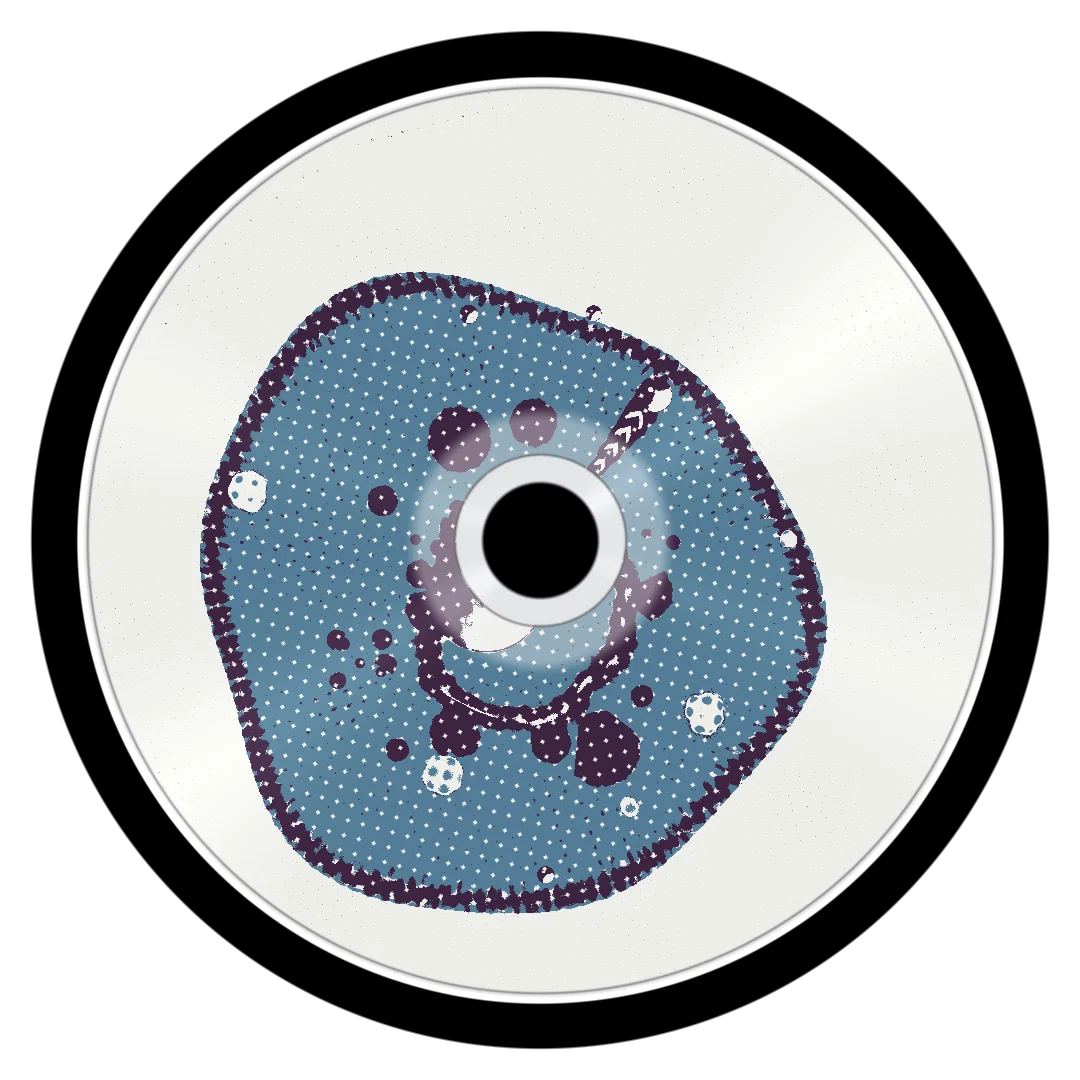 BARRACUDA cover