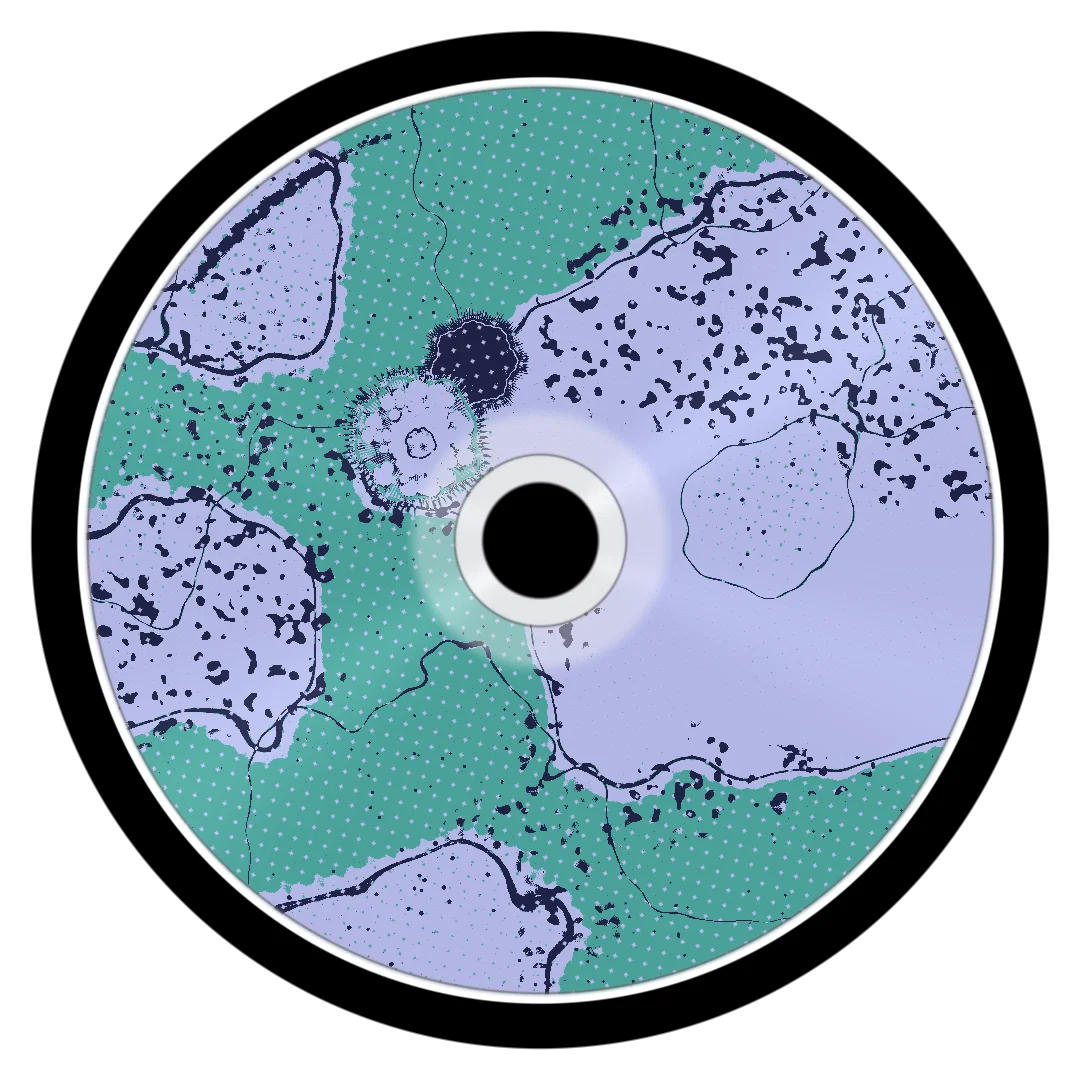 BEAR cover
