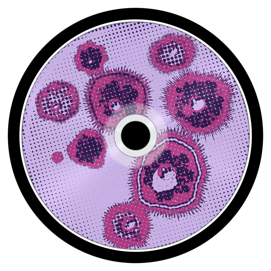 BEWILDER cover