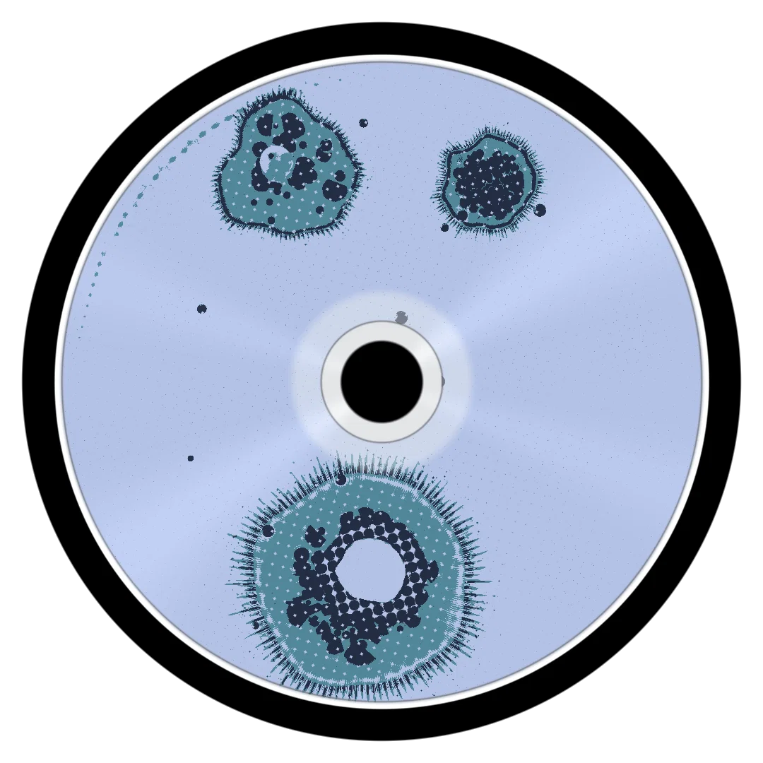 BLOSSOM II cover