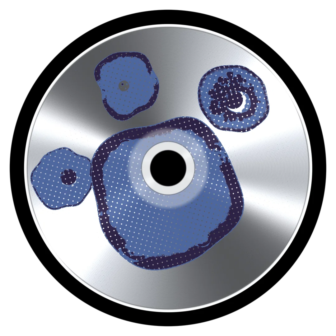 BOOT SEQ cover