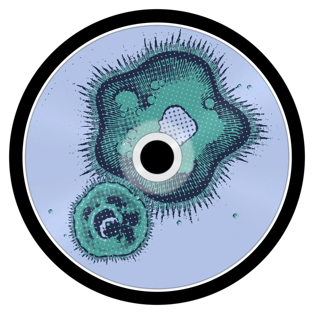 BIRDFLU cover