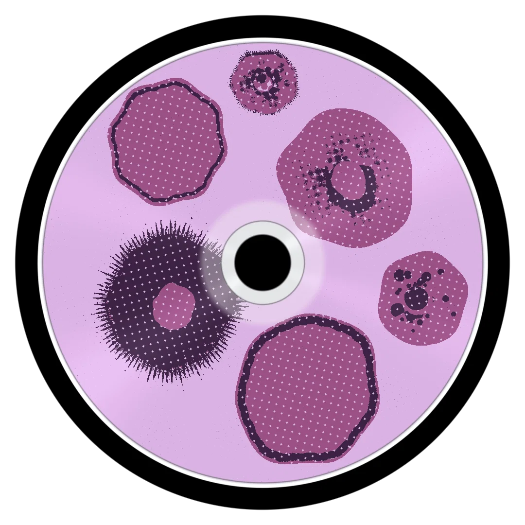 SURE cover