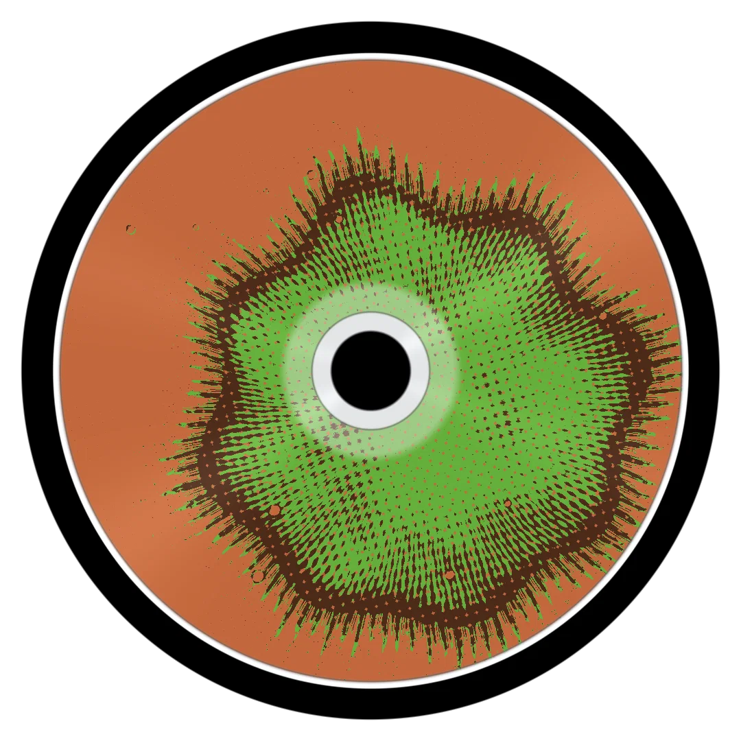 CHINGGISID cover
