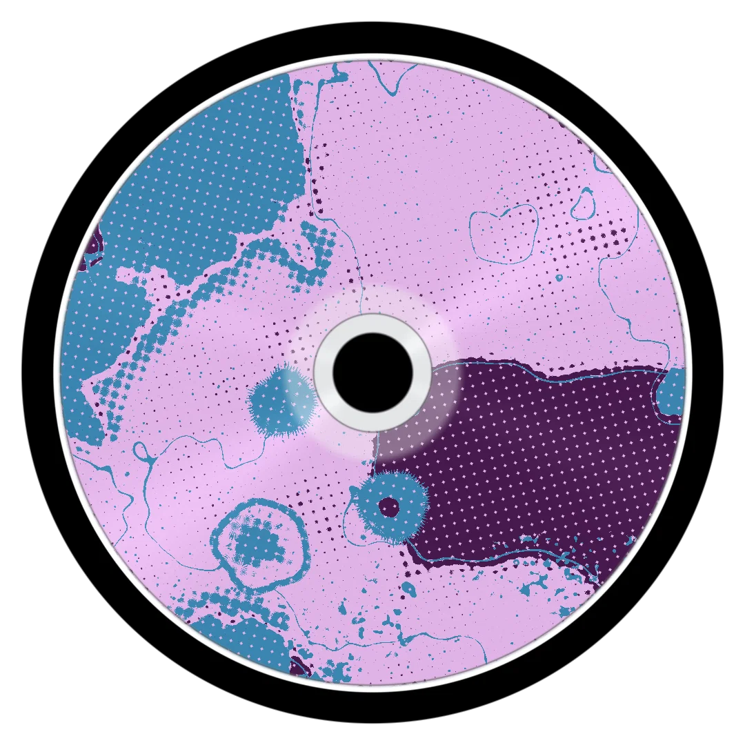 CYCLONE cover