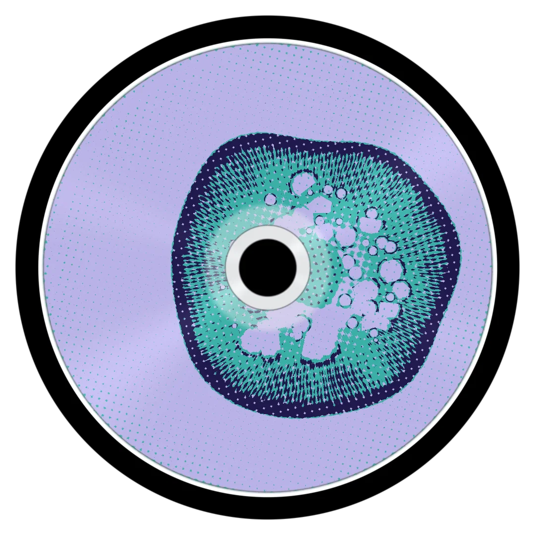 DOCUMENT cover
