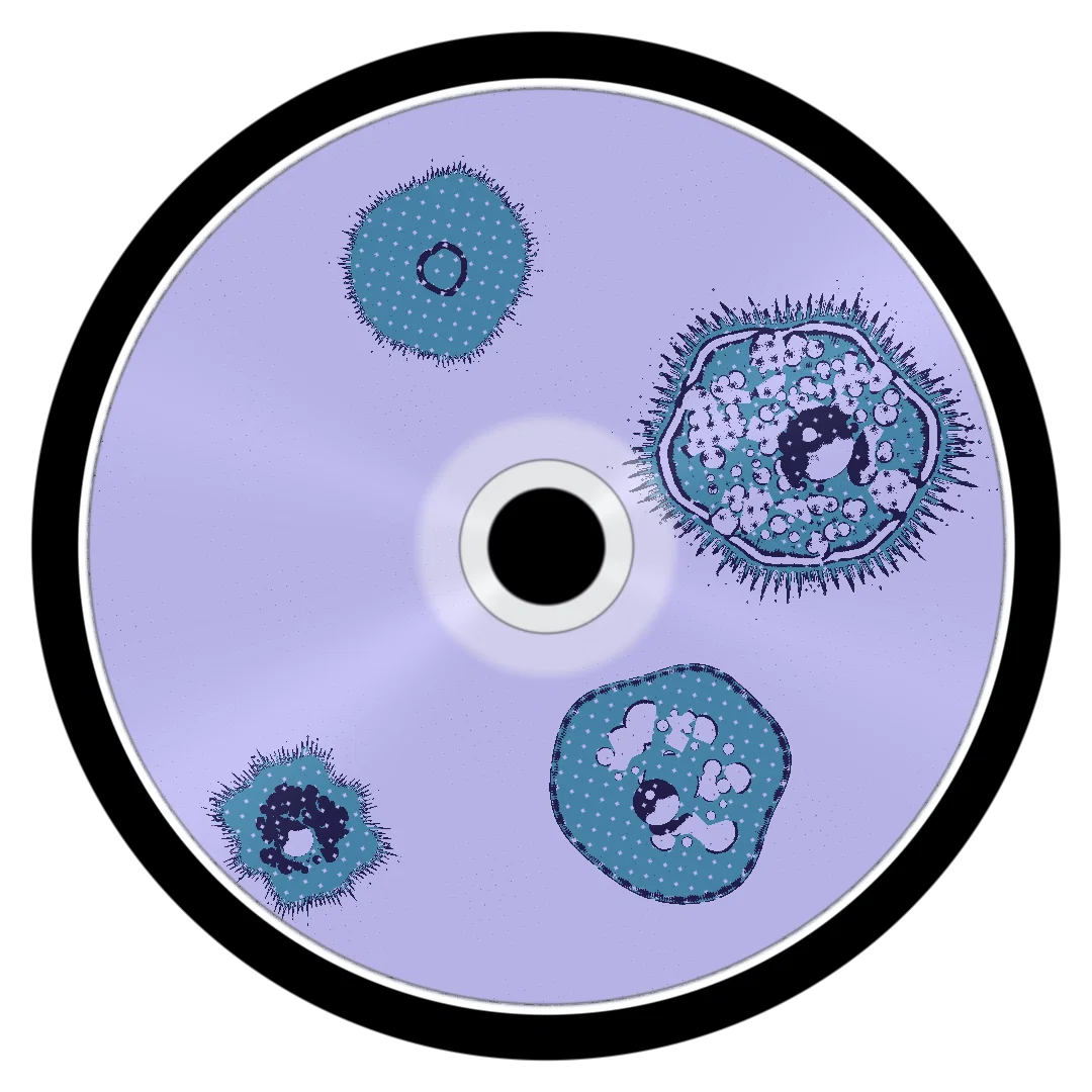 CREW cover