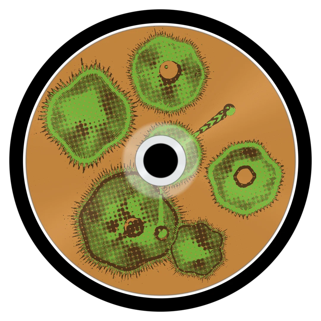 FINE CHINA cover
