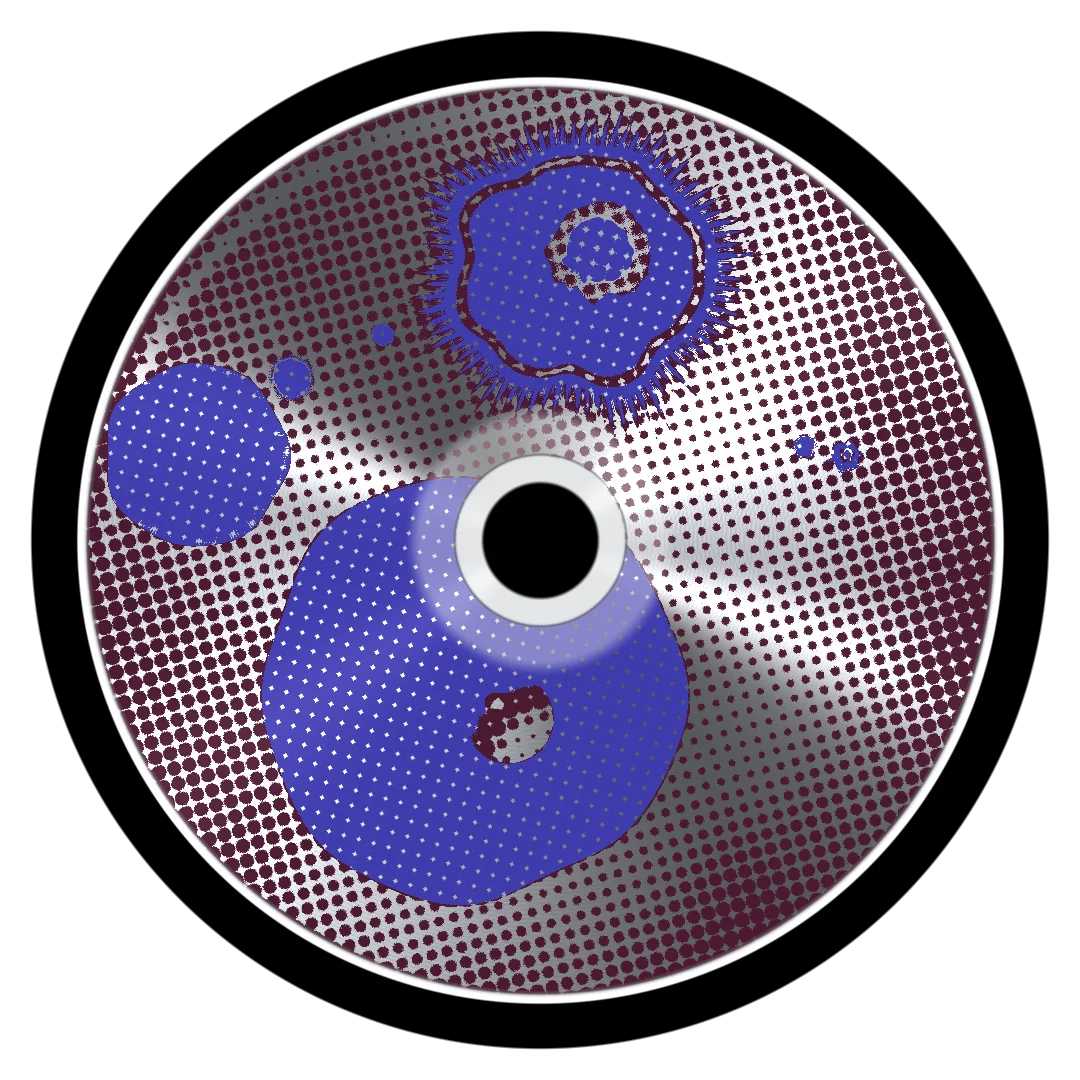 FLASHES cover