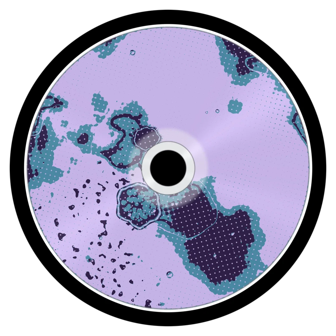 FLYNN cover