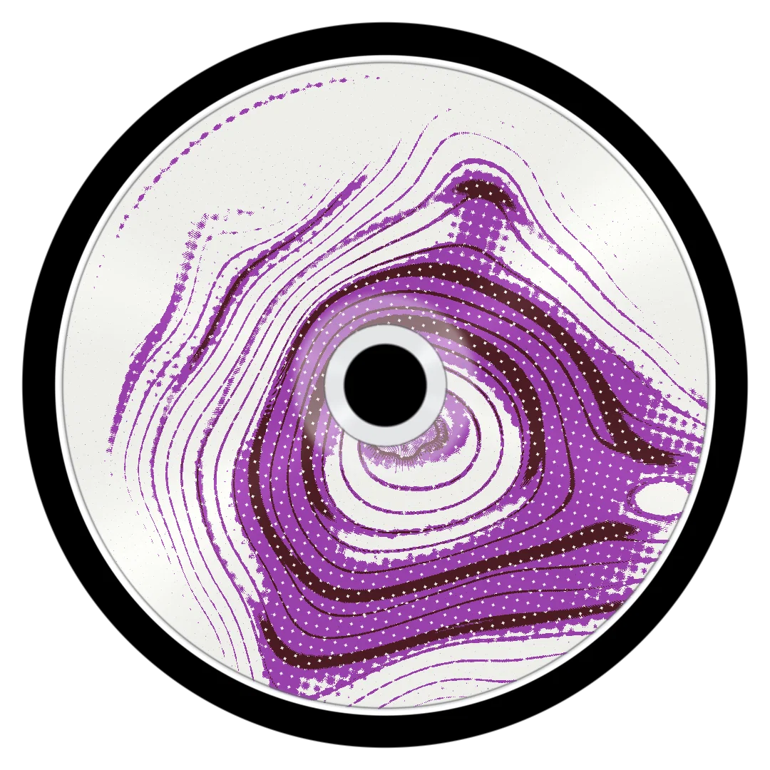 FOLICLES cover