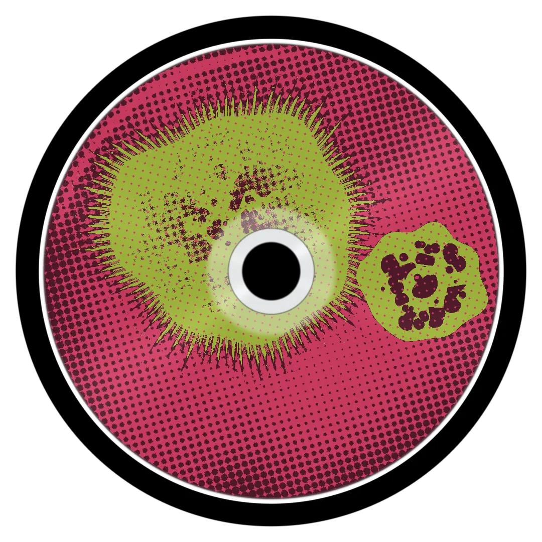 FOSSILS cover