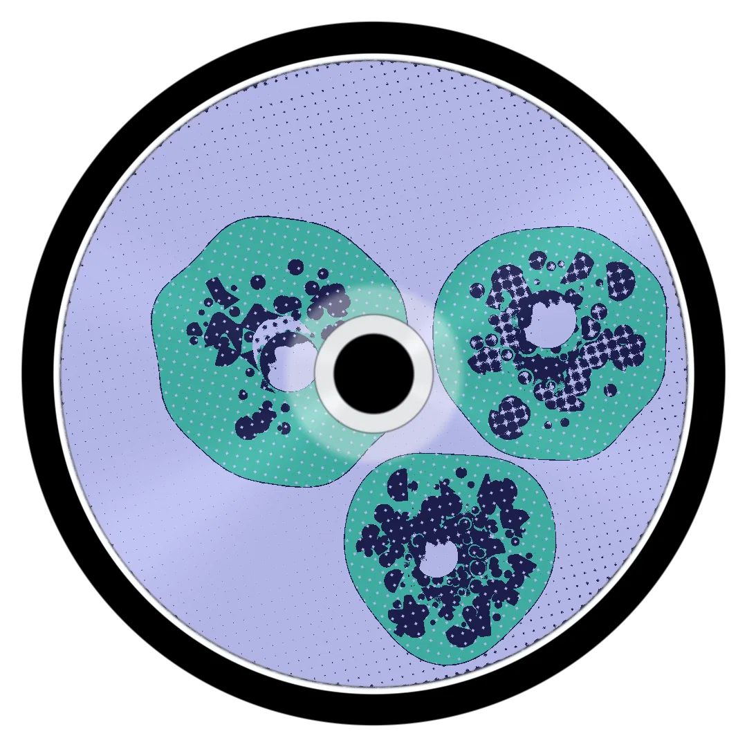 GIN cover