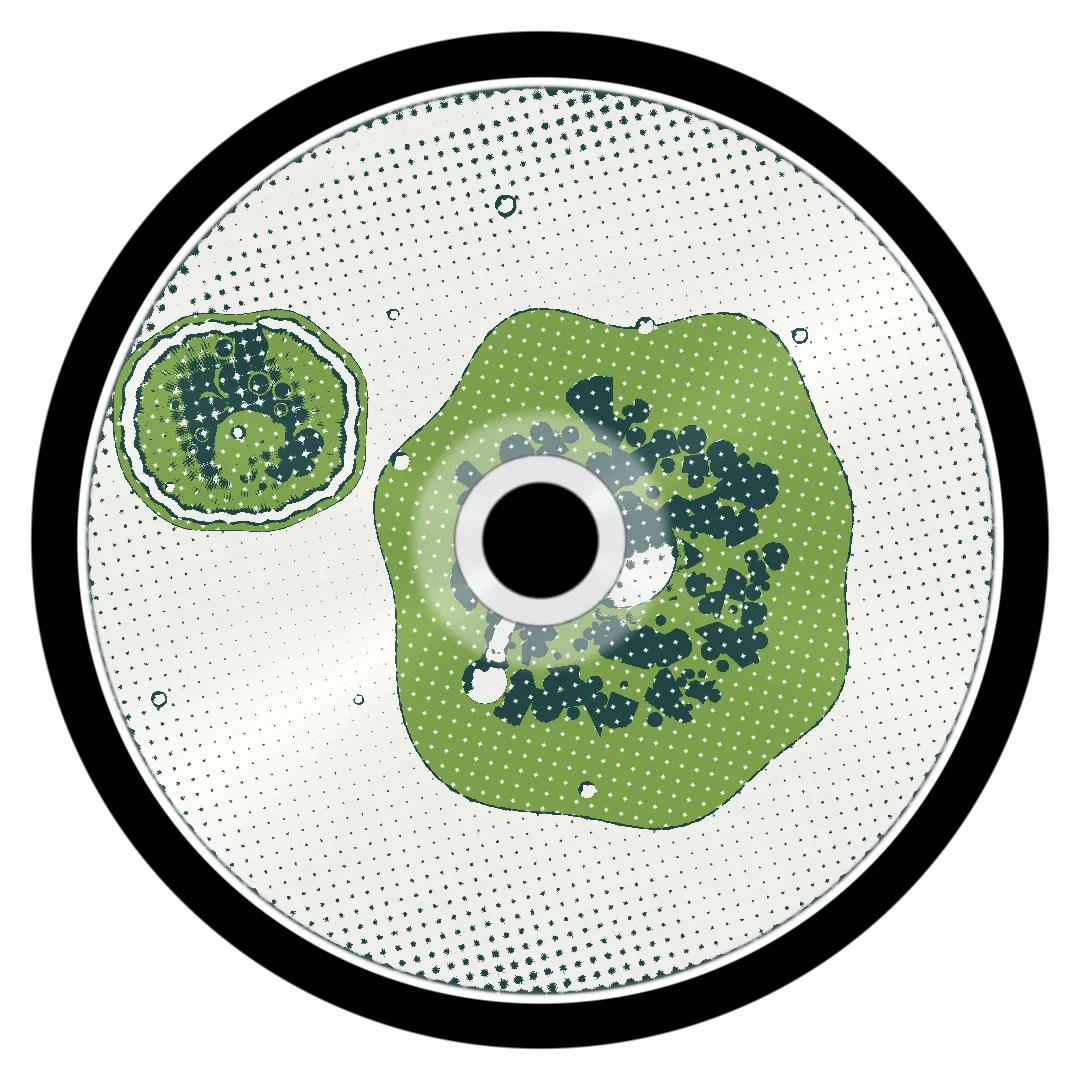 GRAPE GELATO cover