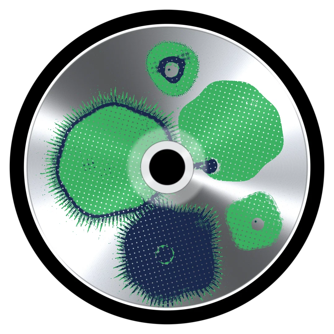 GRAY cover
