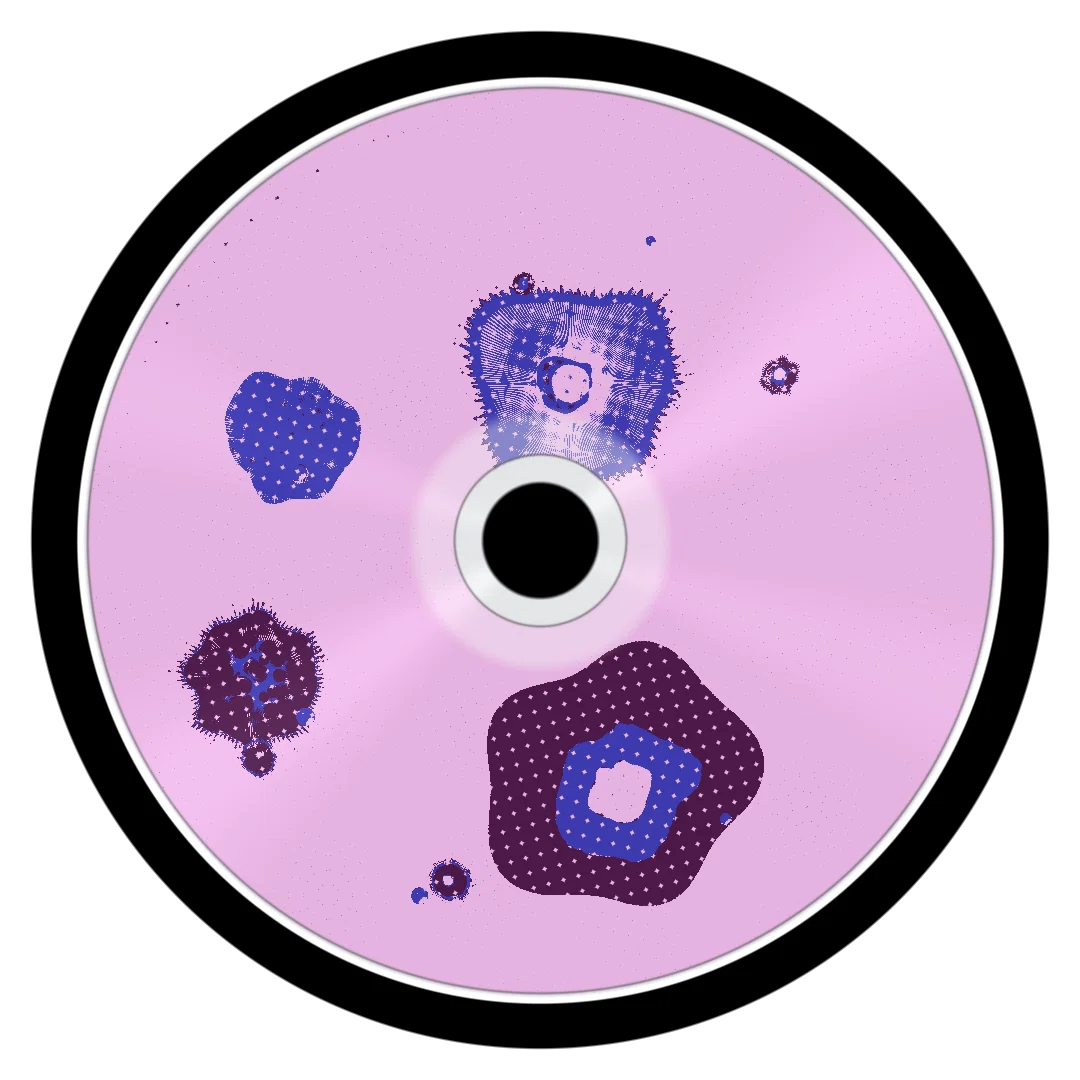 WHIPIT cover