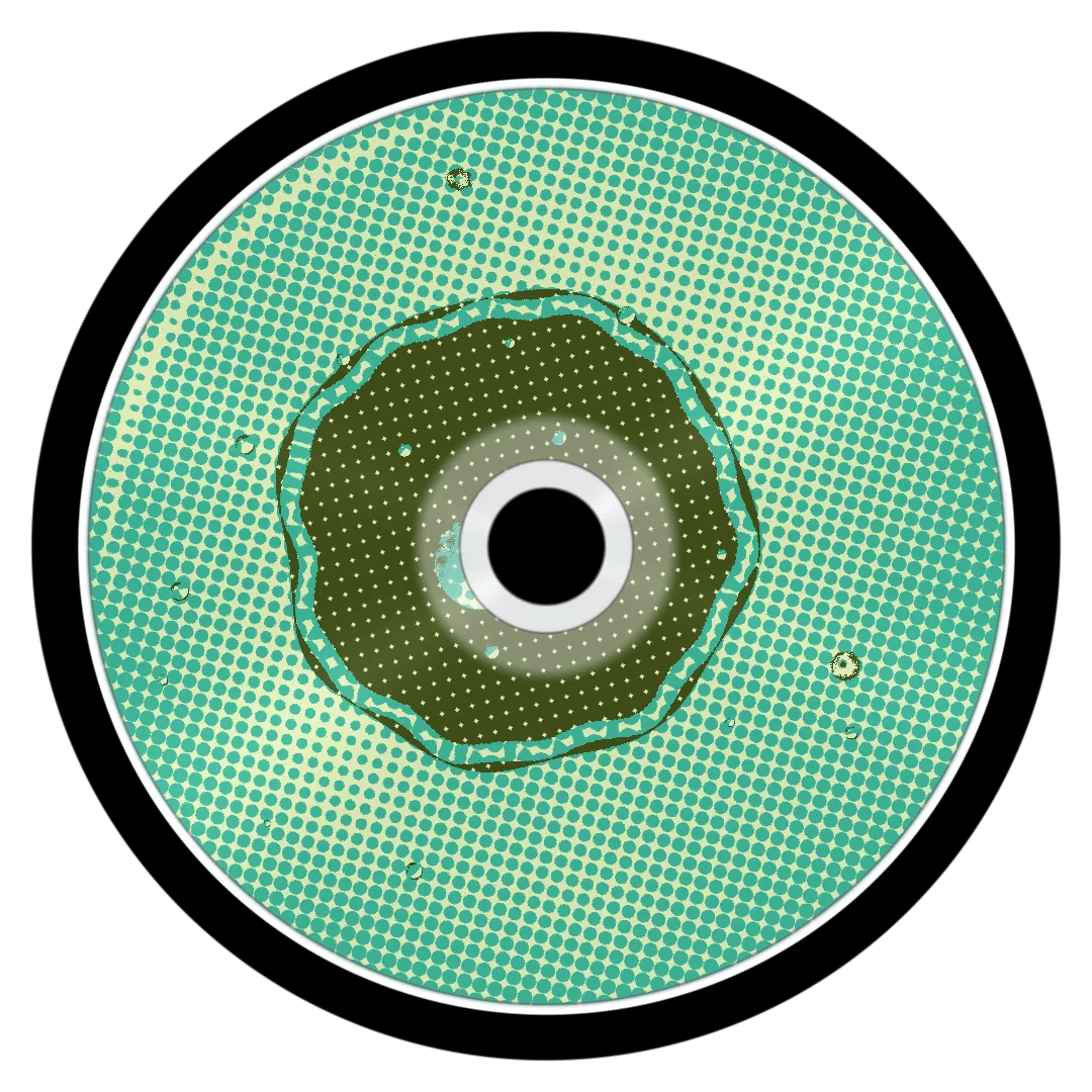 SASPARILLA cover