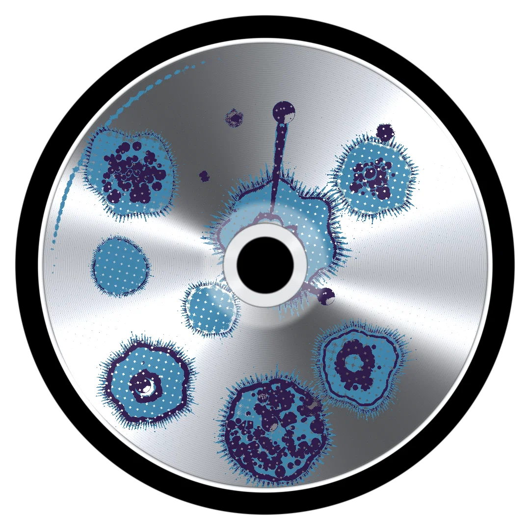 JOINT cover