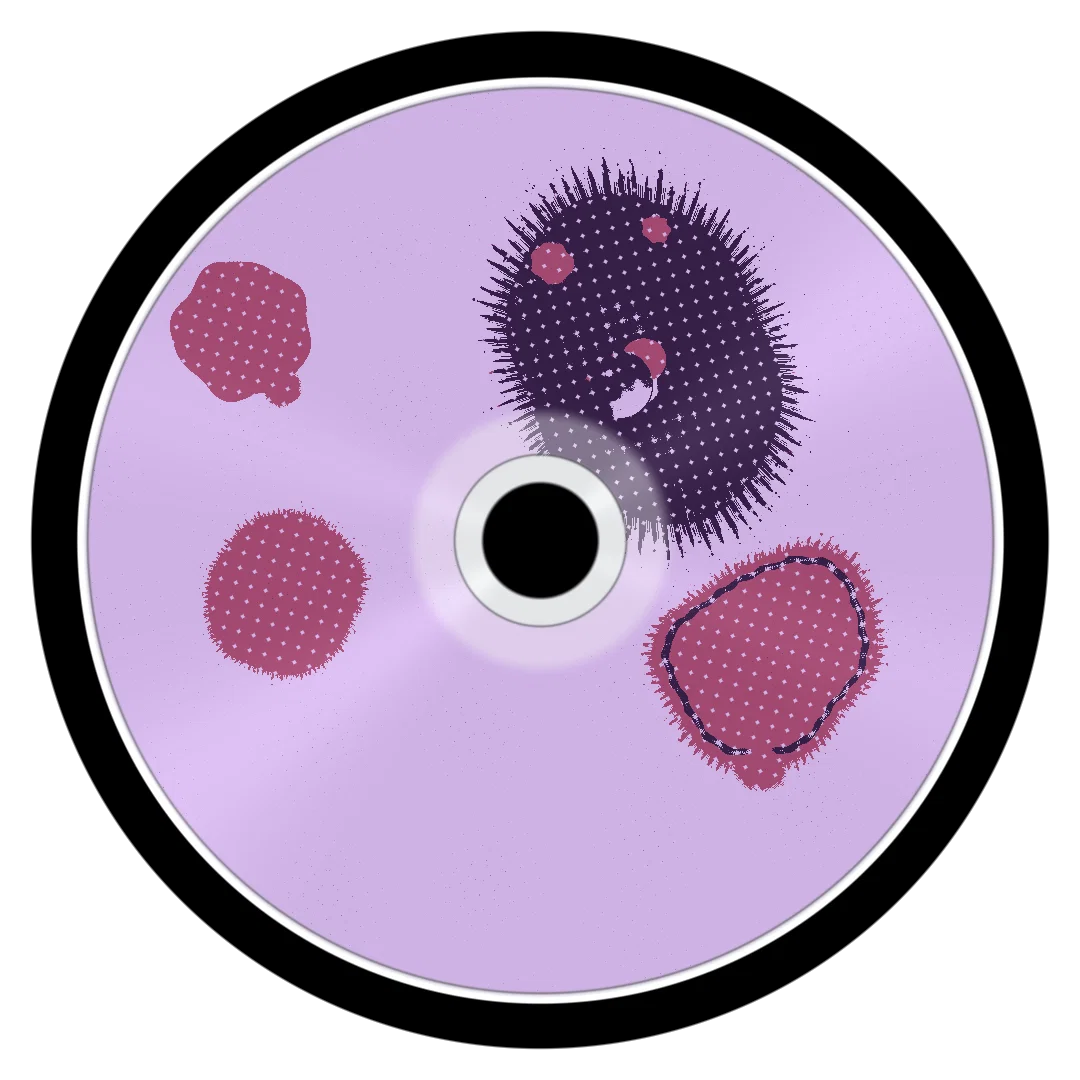 JOLLA cover