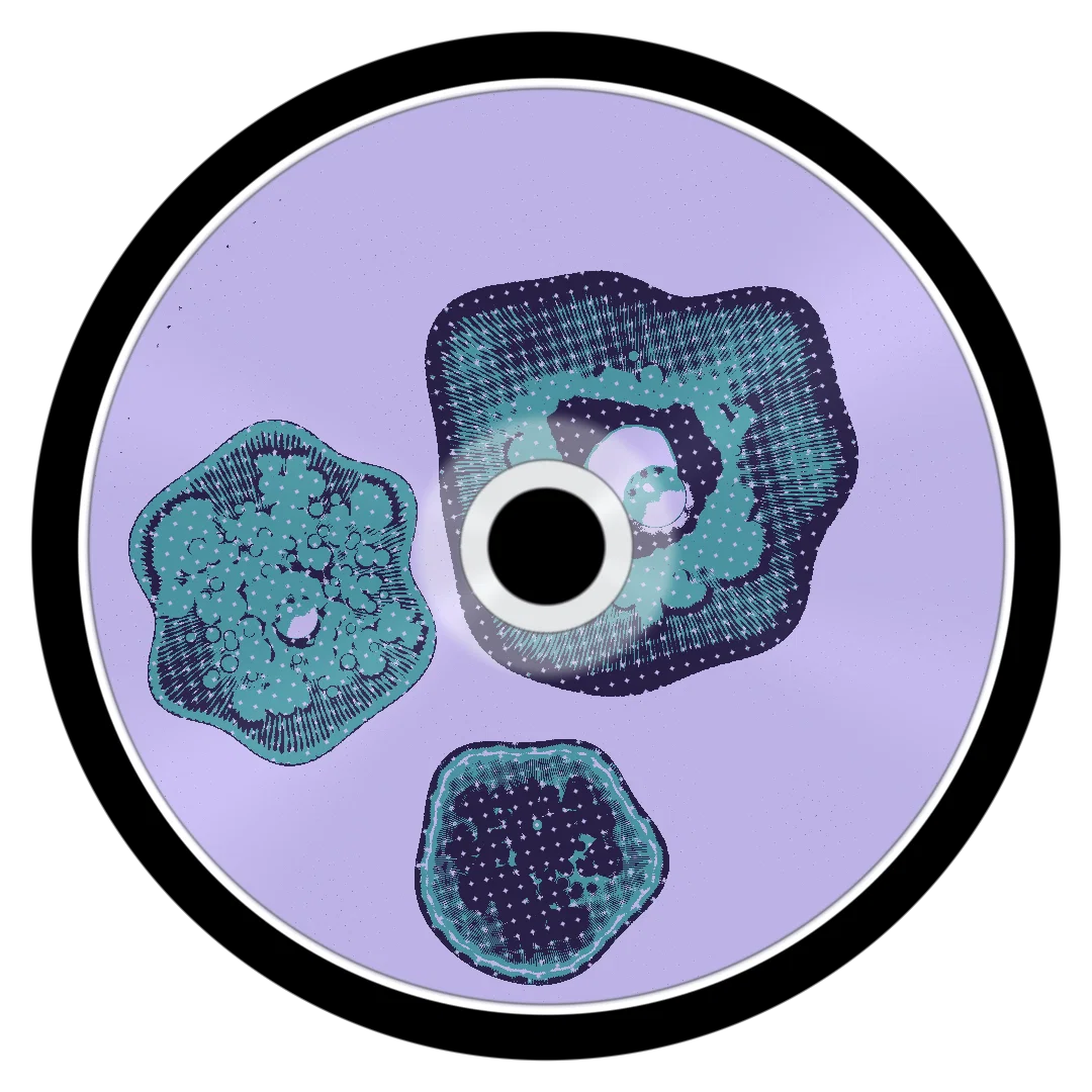 NAME BRAND cover