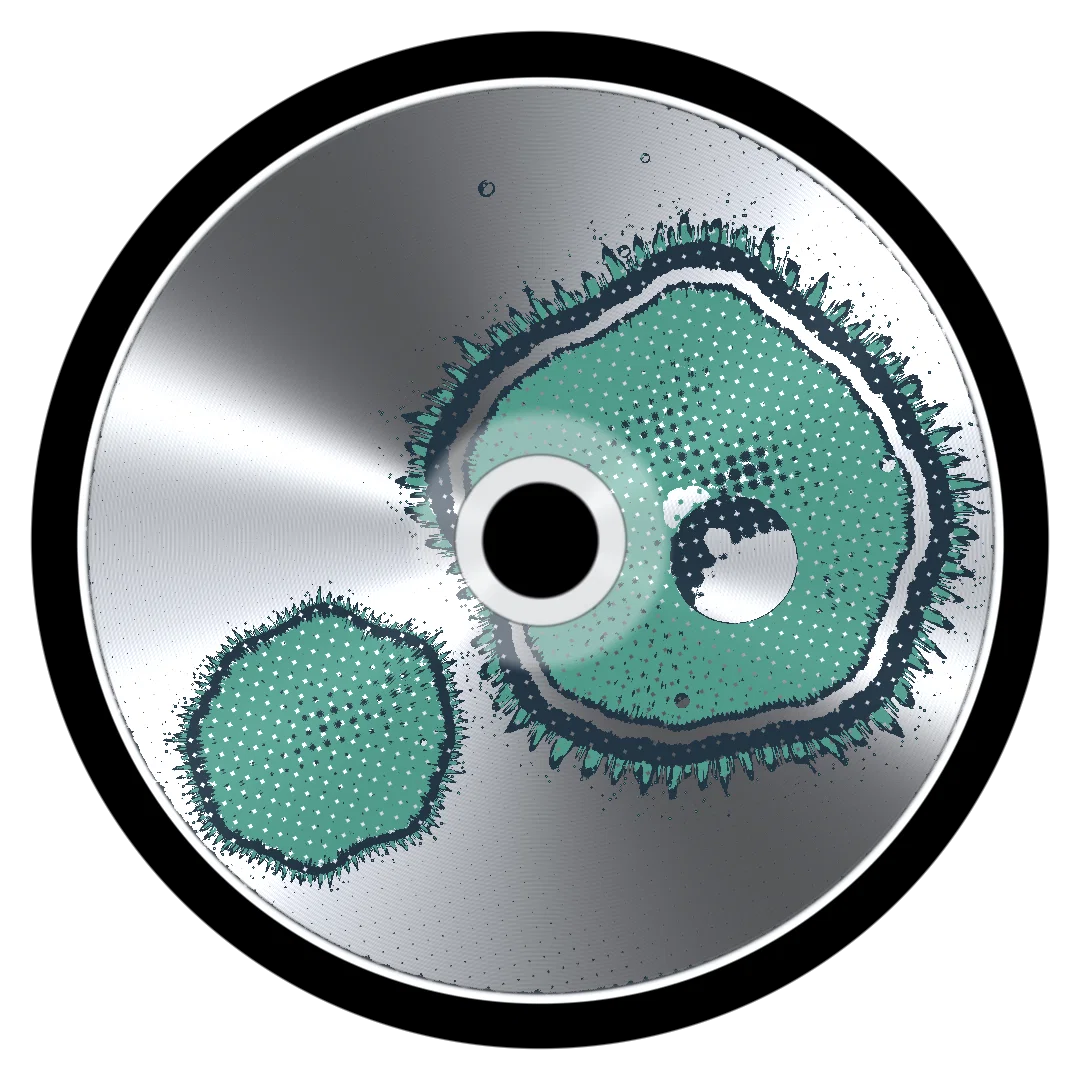 KOSH cover