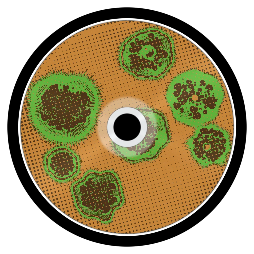 LUCKY cover