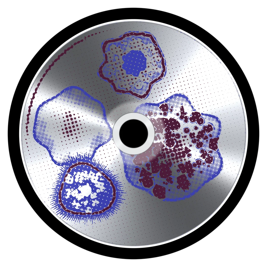 NAVY II cover