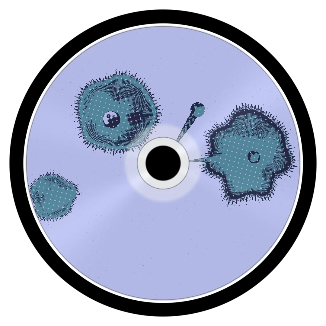 NEVER FORGET IT cover