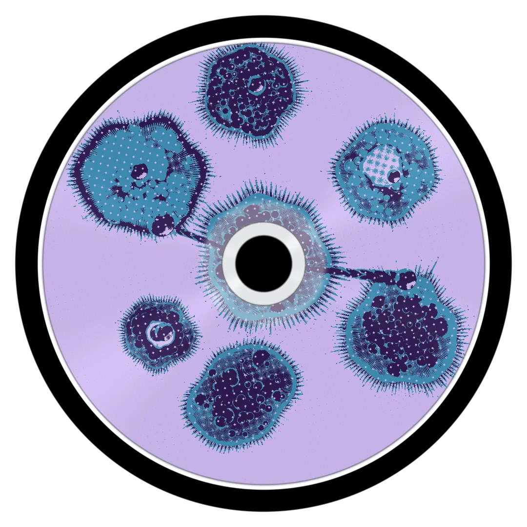 ARGON cover