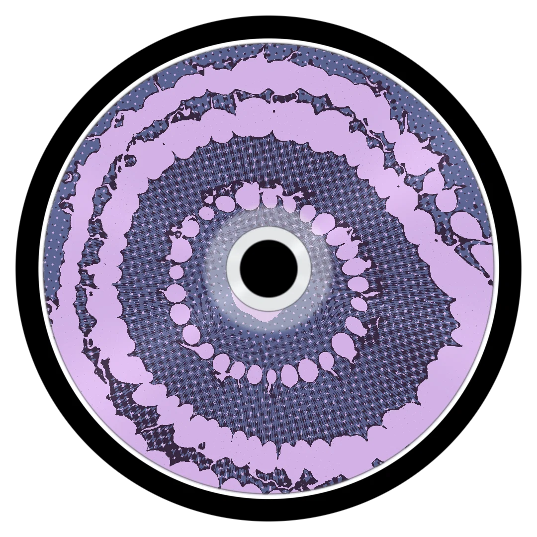 FRANTIC cover