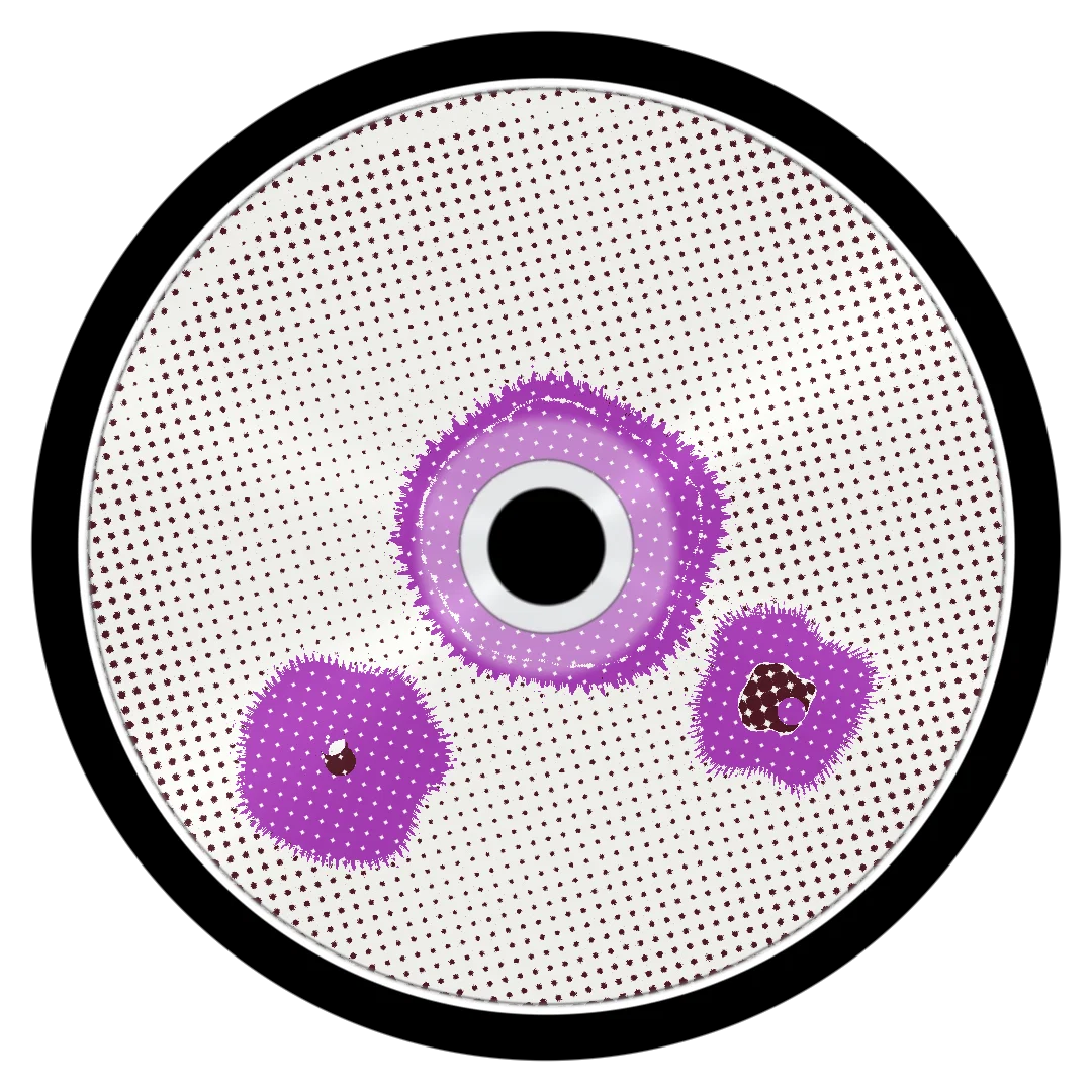 HELLO cover
