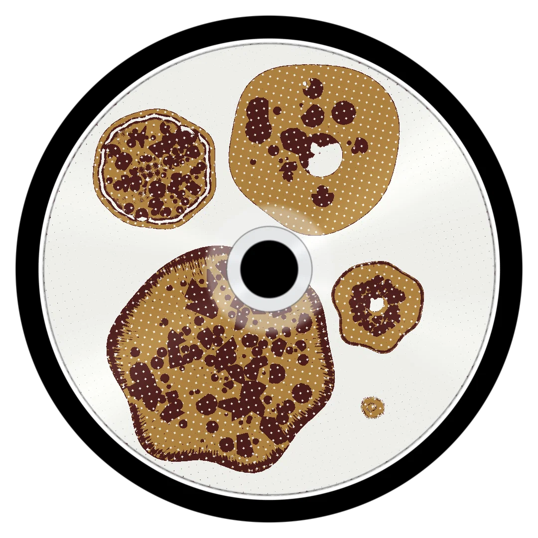 OVATION cover